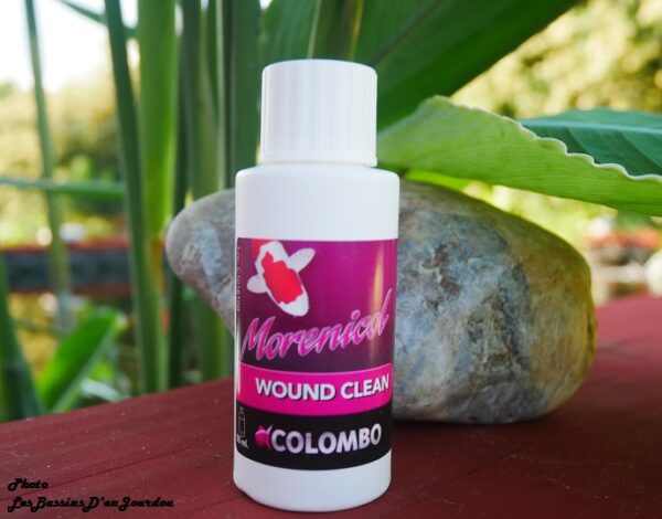 wound clean colombo