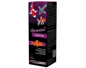 SEDATION Colombo - 100% naturel