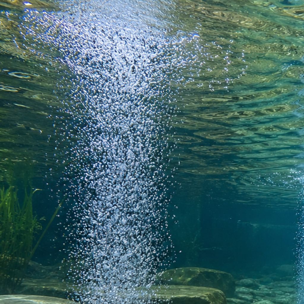 aération été bassin