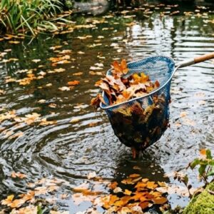 préparer bassin hiver