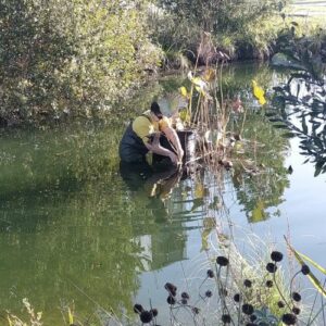 préparer bassin hiver