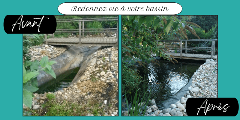 rénovation bassin - conception - réalisation