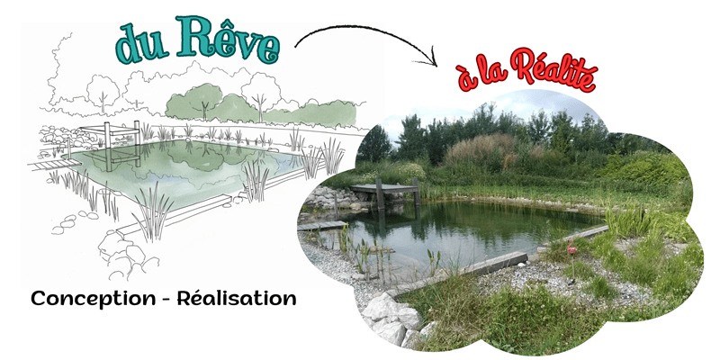 conception piscine naturelle