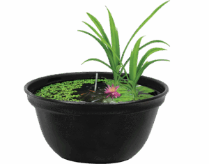 bol japonais medaka 16 L bowl medaka