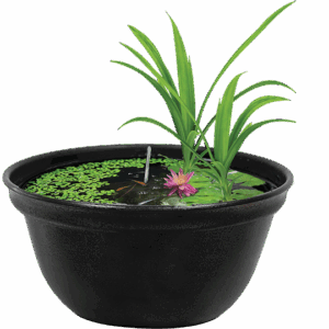 bol japonais medaka 16 L bowl medaka