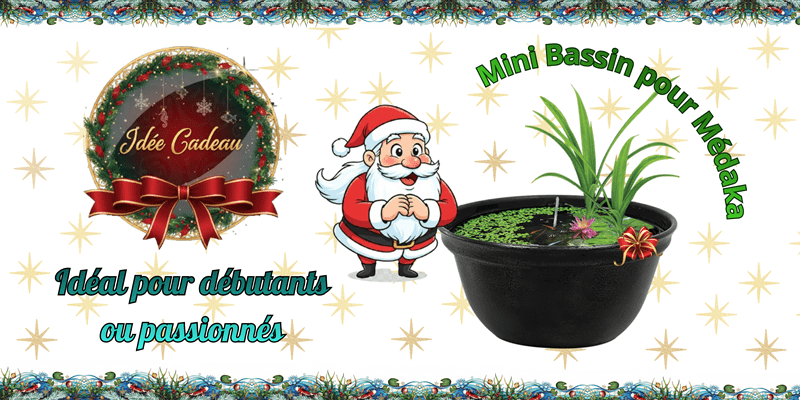 idee cadeau noel bassin poisson