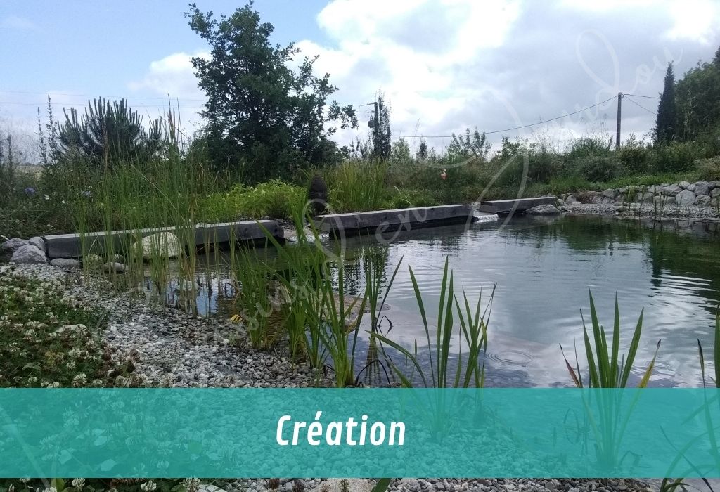 nos services autour du bassin de jardin
