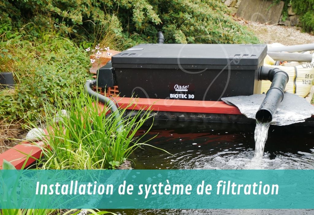 nos services autour du bassin de jardin