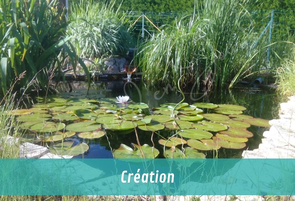 nos services autour du bassin de jardin