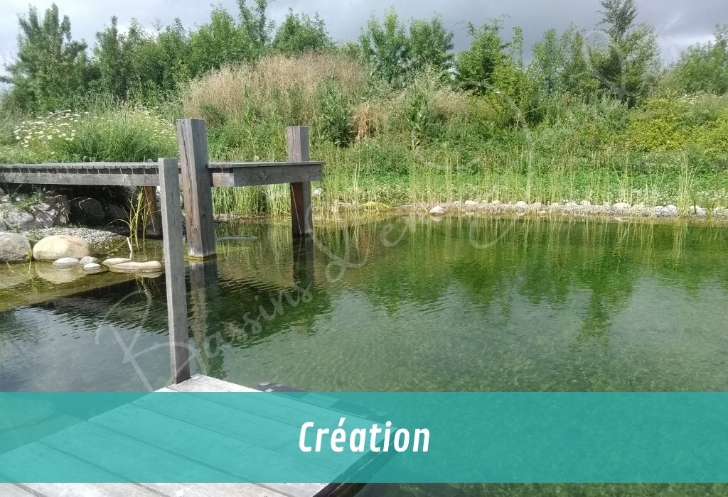 nos services autour du bassin de jardin