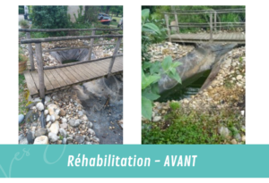 réhabilitation de bassin de jardin VUE AVANT