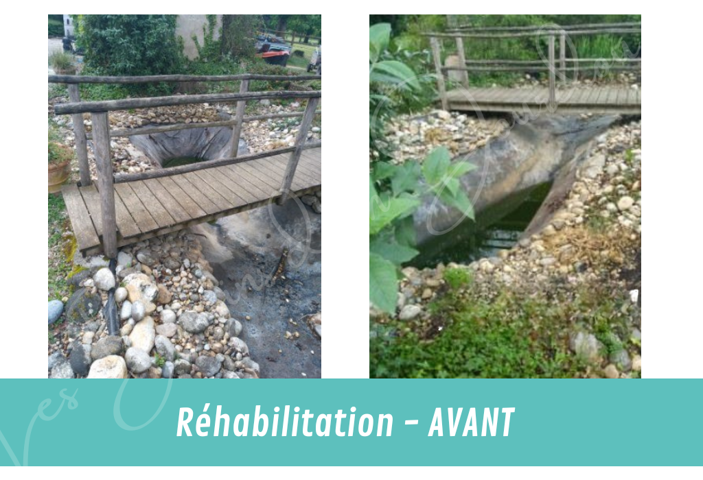 réhabilitation de bassin de jardin VUE AVANT