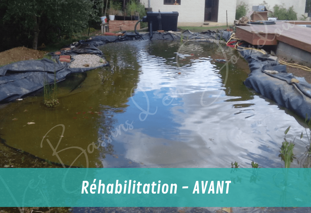 réhabilitation de bassin de jardin AVANT RENO
