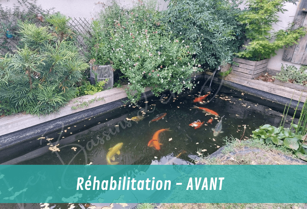 réhabilitation de bassin de jardin