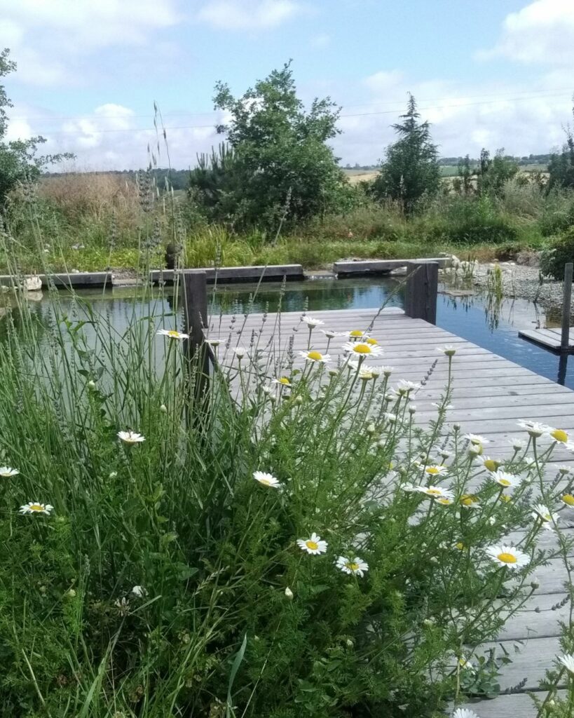 création de piscine naturelle sur mesure