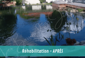REHABILITATION DE BASIN DE JARDIN APRES RENO