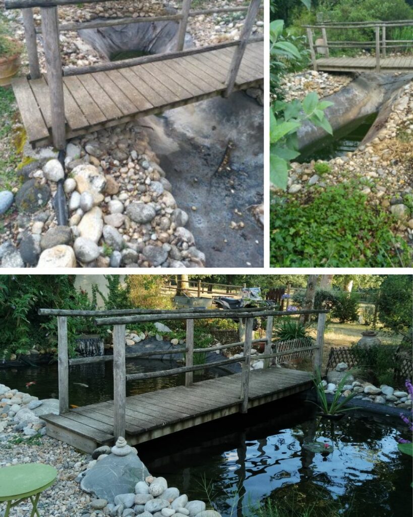 réhabilitation de bassin de jardin