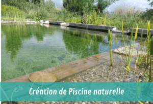 création de piscine naturelle sur mesure vue sur les lames d'eau