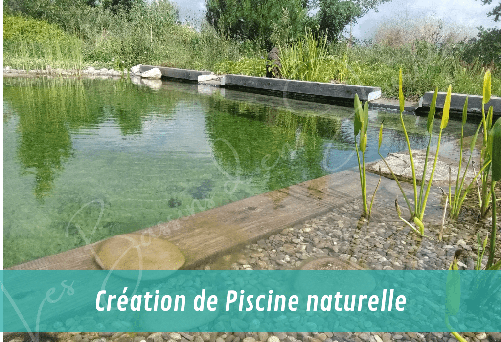 création de piscine naturelle sur mesure vue sur les lames d'eau