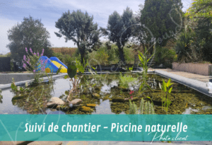 création de piscine naturelle VUE SUR LA LAGUNE