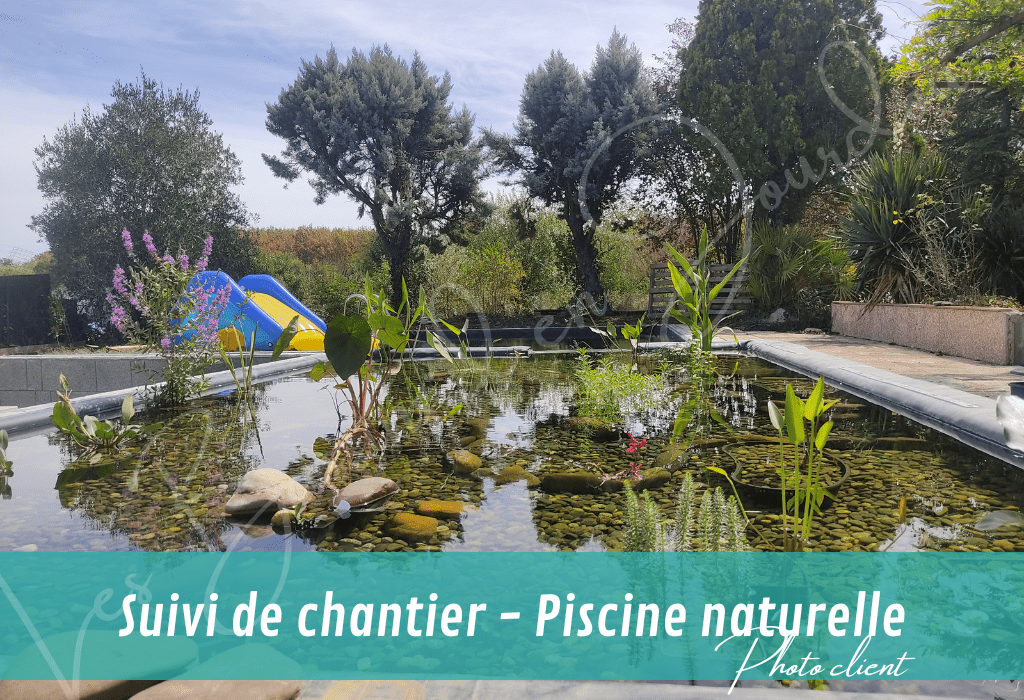 création de piscine naturelle VUE SUR LA LAGUNE