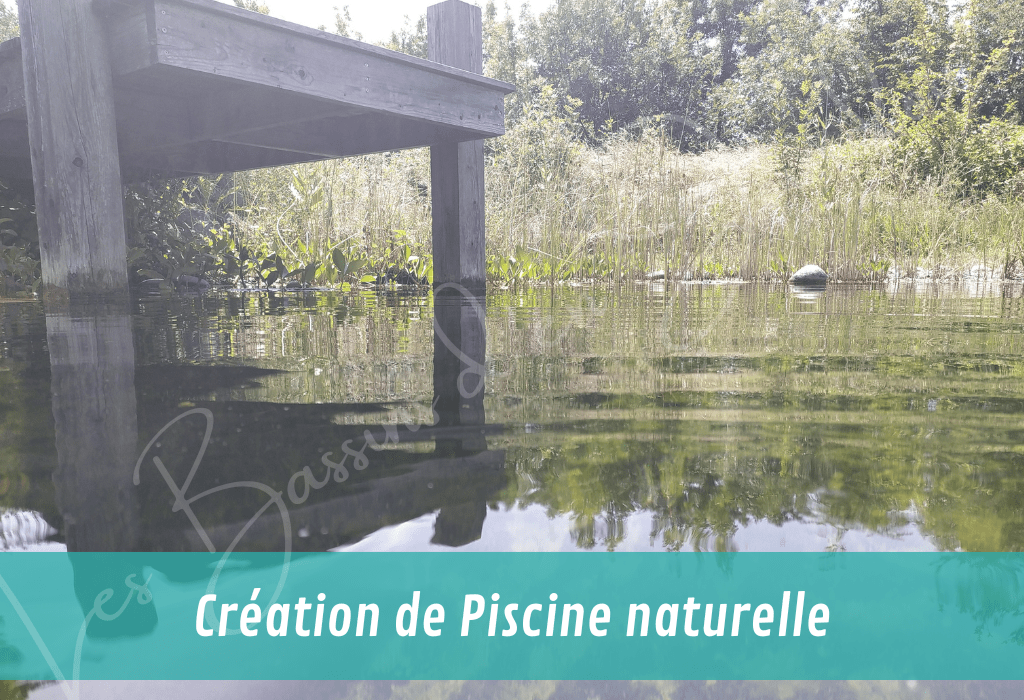 création de piscine naturelle vue sous un ponton