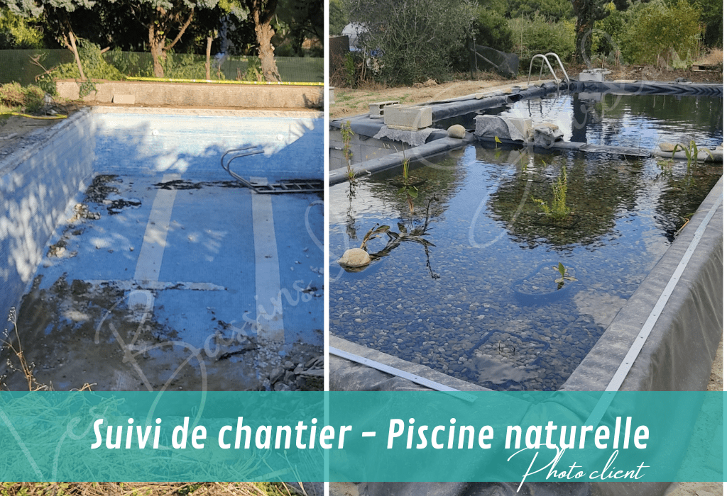 créez vous même votre bassin avec notre aide