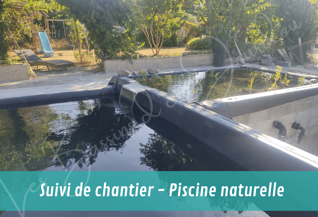 créez vous même votre bassin avec notre aide